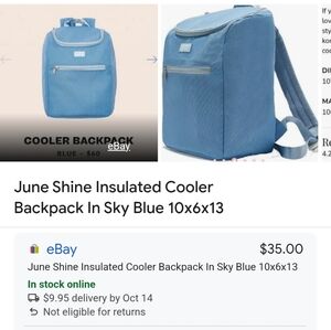 June Shine insulated cooler backpack